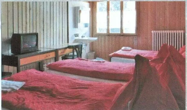 浴室共有スタンダード４人用ルーム, Gasthaus Waldhaus