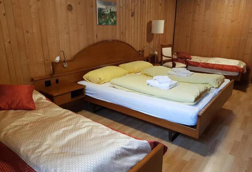 اتاق استاندارد چهارنفره با سرویس بهداشتی مشترک, Gasthaus Waldhaus