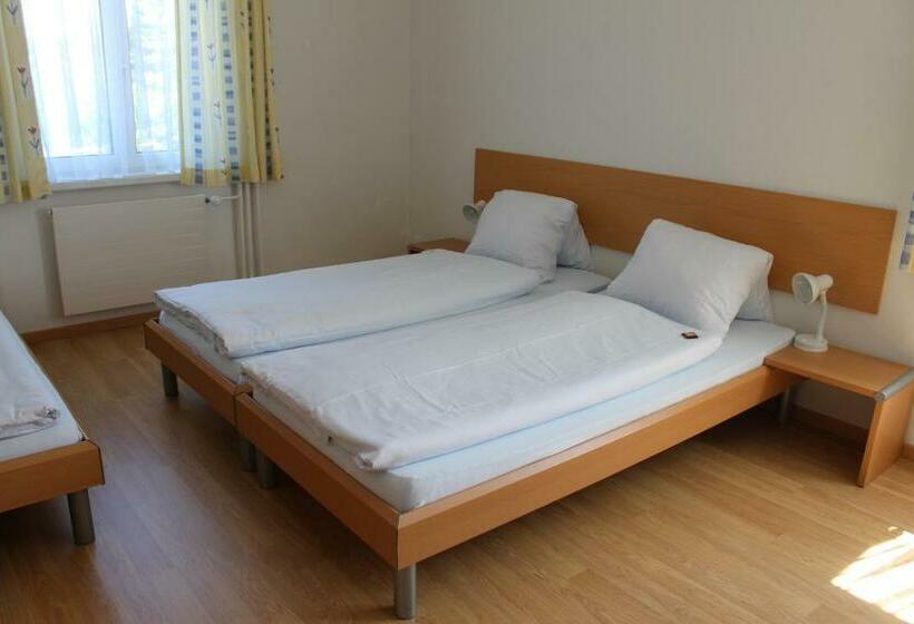 חדר סטנדרט חדר אמבטיה משותף, Glärnisch Hof