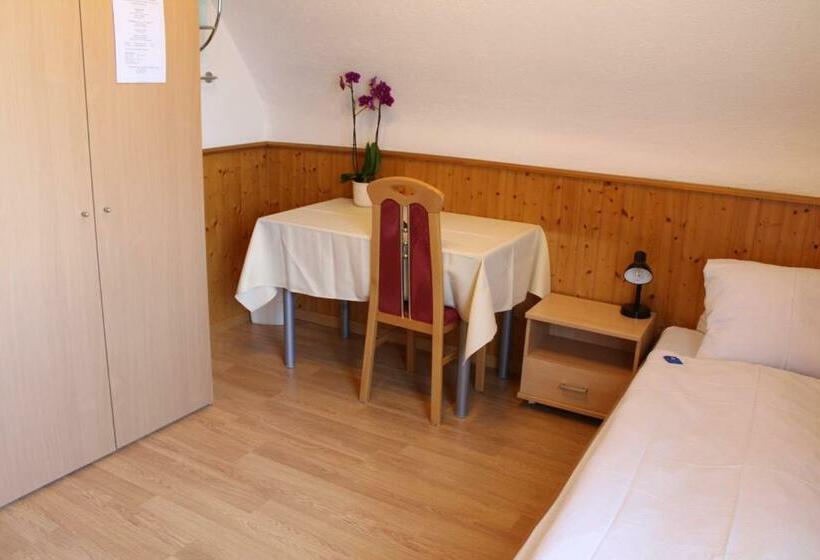 חדר סטנדרד יחיד חדר אמבטיה משותף, Glärnisch Hof