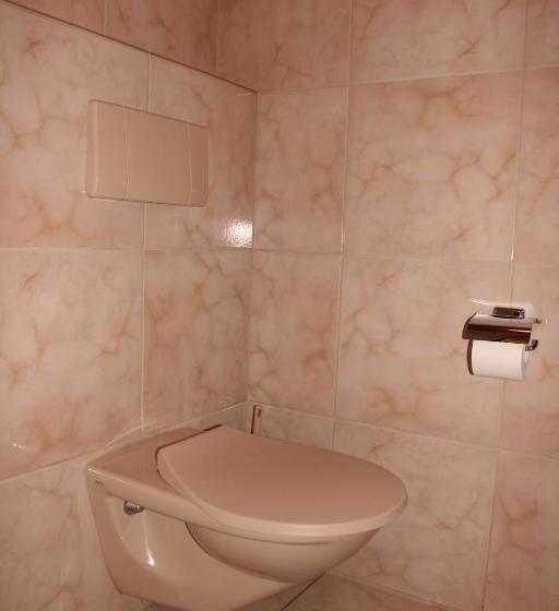 חדר סטנדרט לשלושה, Glärnisch Hof