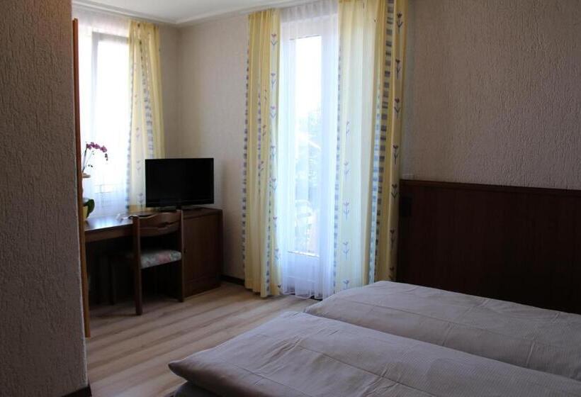 חדר סטנדרט נוף לאגם, Glärnisch Hof