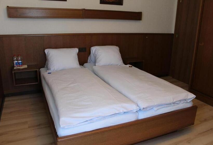 חדר סטנדרט נוף לאגם, Glärnisch Hof