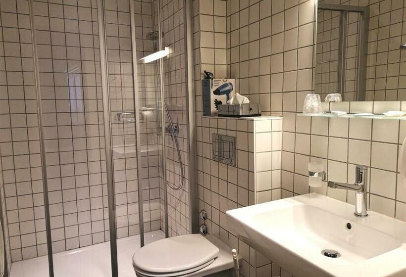 标准单人间, Hôtel Du Raisin