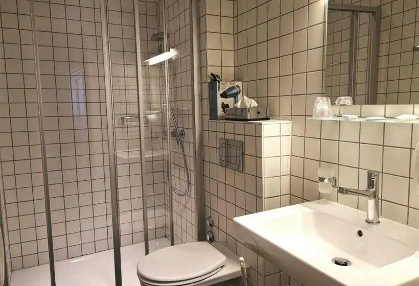 Standard-studio, Hôtel Du Raisin