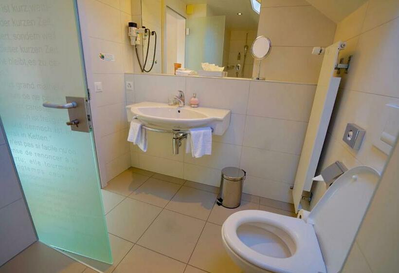 חדר סטנדרט נוף לאגם, Jean Jacques Rousseau