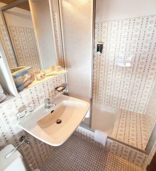 스탠다드 싱글 룸, Matterhorn Inn