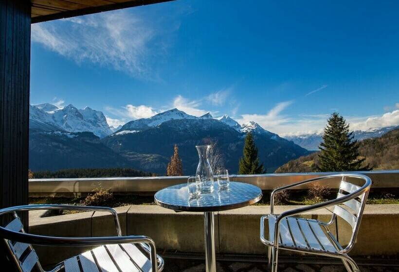 חדר סטנדרט יחיד, Panorama