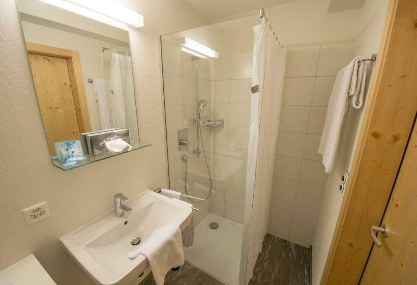 غرفة قياسية ذات إطلالة بانورامية, Steinbock Vals