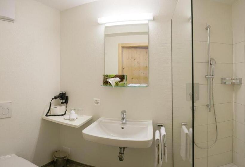 غرفة قياسية ذات إطلالة بانورامية, Steinbock Vals