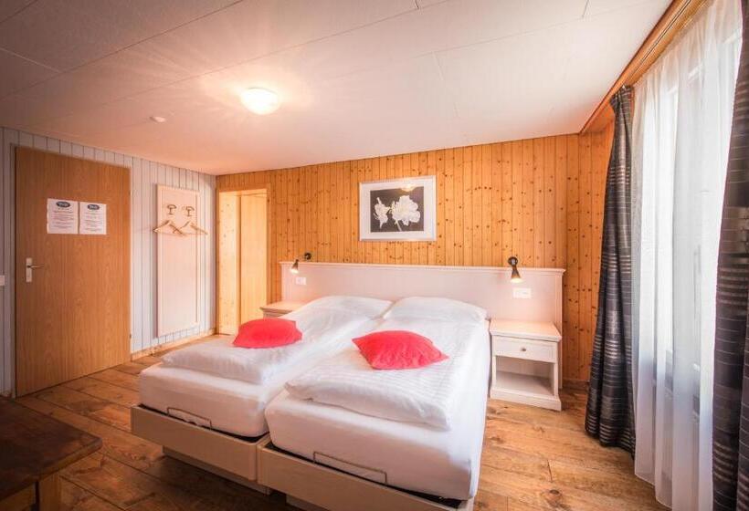 标准间, Tell And Apartments