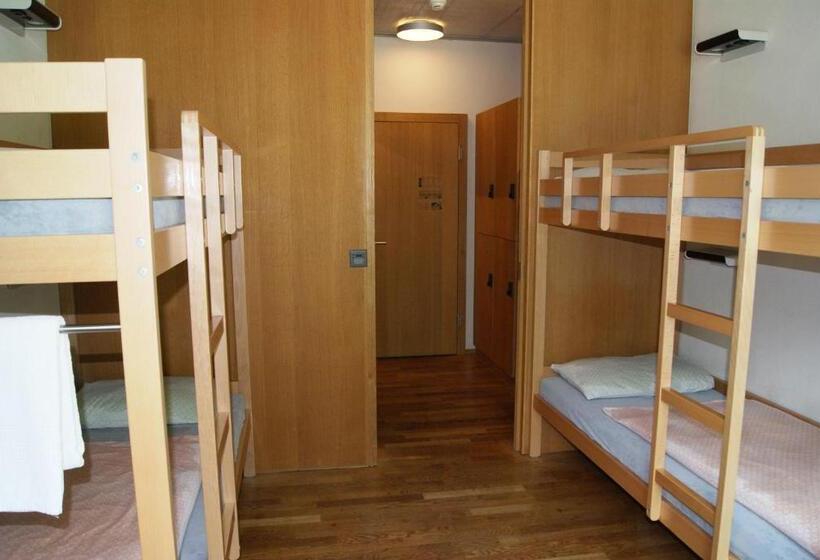共用房间的床, Interlaken Youth Hostel