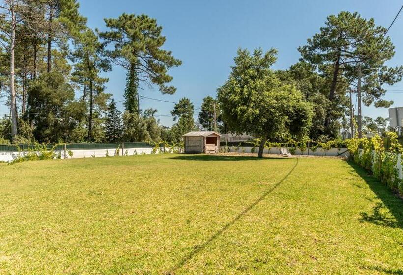 デラックスルーム, Casa Das Vinhas