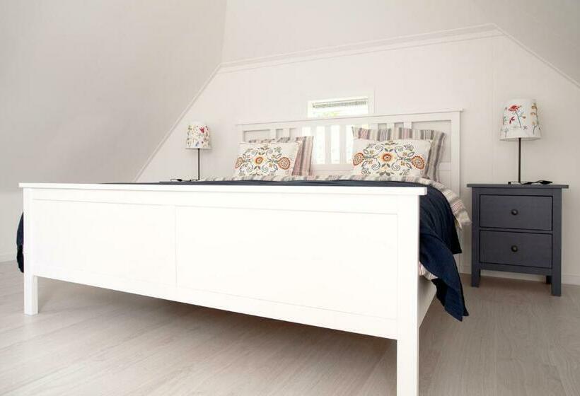 اتاق لوکس با تخت بزرگ, B & B De Lorijn