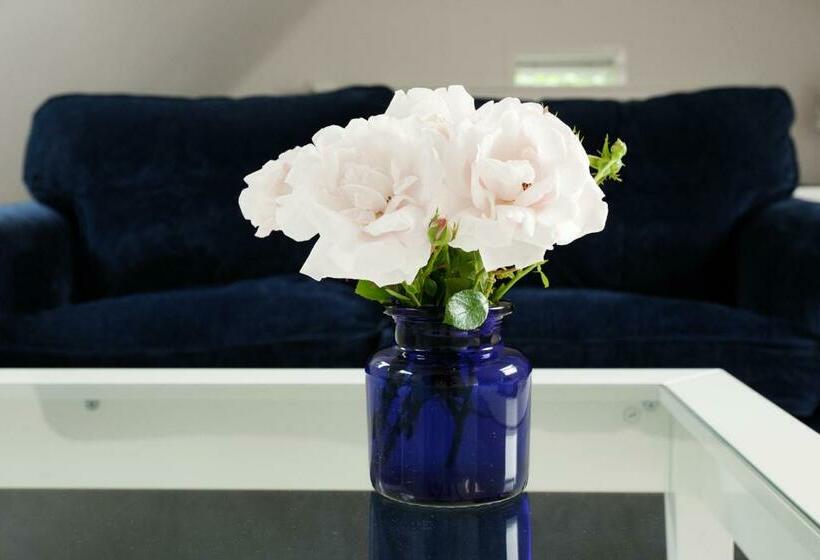 اتاق لوکس با تخت بزرگ, B & B De Lorijn