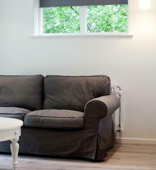 اتاق لوکس با تخت بزرگ, B & B De Lorijn