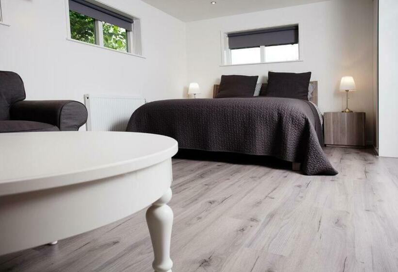 اتاق لوکس با تخت بزرگ, B & B De Lorijn