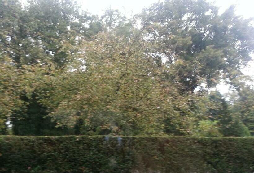 اتاق استاندارد, B & B Waalre