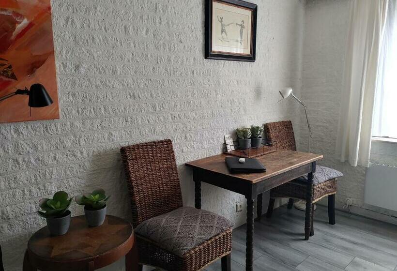 חדר סטנדרט, Hof Van Sellingen