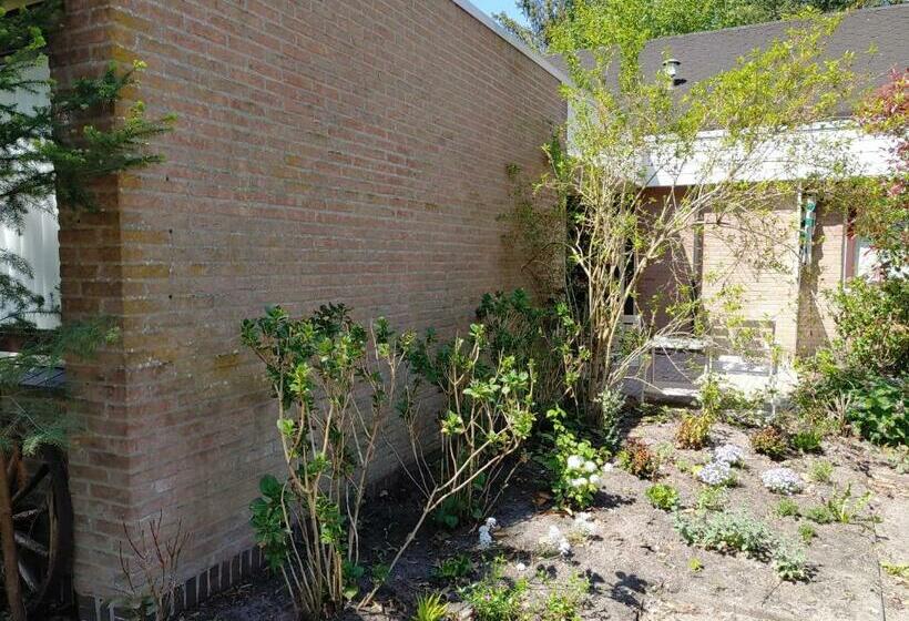 חדר סטנדרט, Hof Van Sellingen