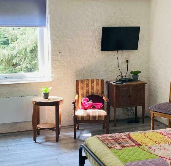 חדר סטנדרט, Hof Van Sellingen