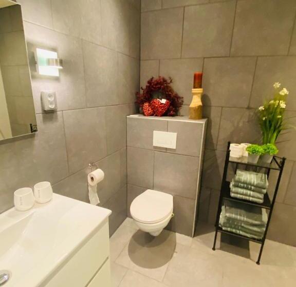 １ベッドルームアパートメント, Hof Van Sellingen