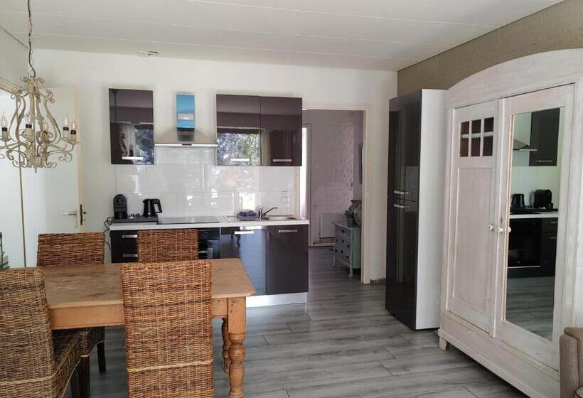 דירת חדר, Hof Van Sellingen