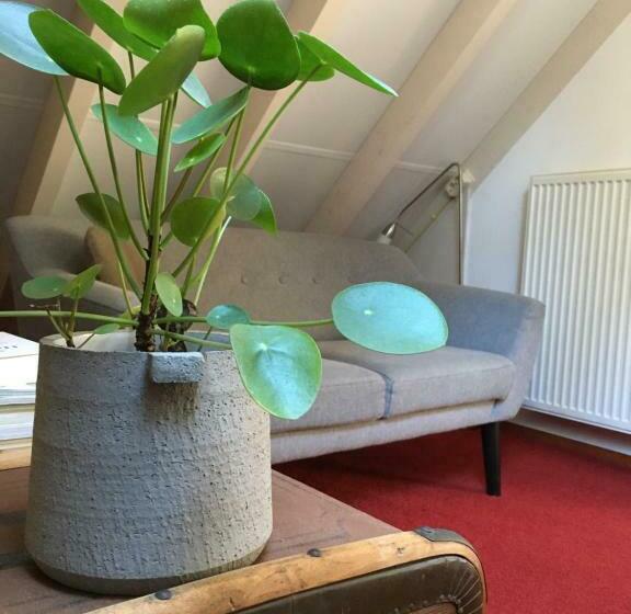 اتاق لوکس, Mollenvlied