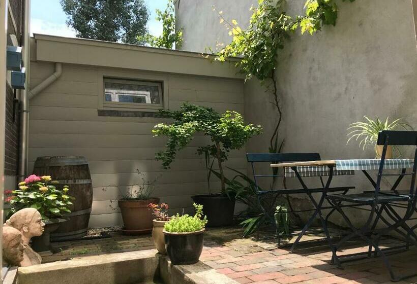 Номер Стандарт, Pluweel