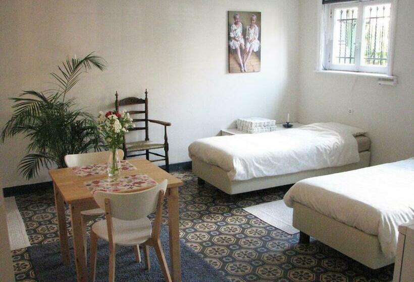 Номер Стандарт, Pluweel