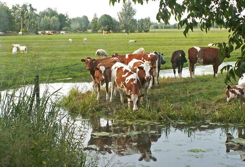 豪华单人间, Posthoorn Lodge