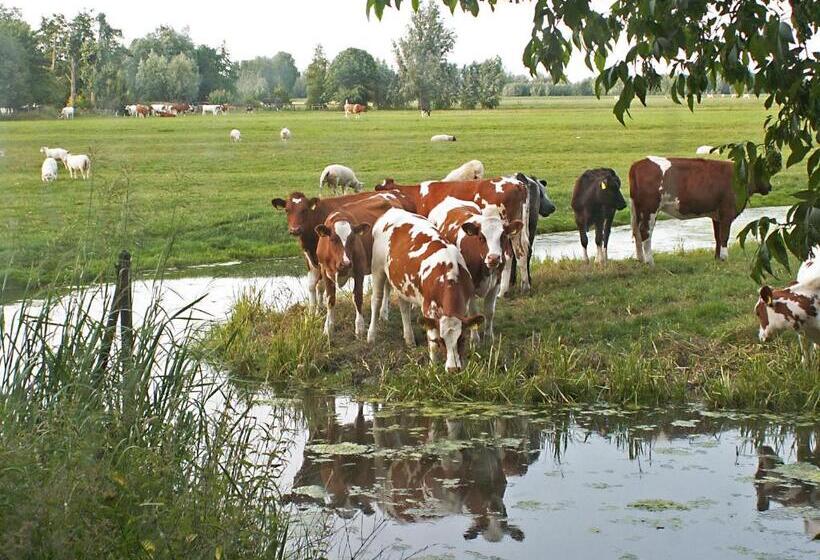 带大床的豪华间, Posthoorn Lodge