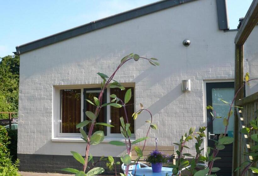 Апартаменты 1 Спальня с Террасой, Waddenhoes Gastenverblijven