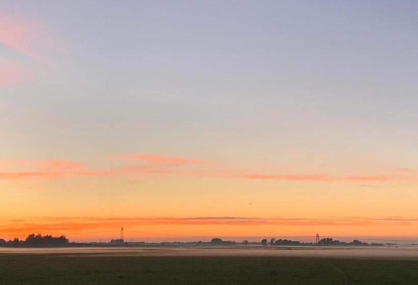 Апартаменты 1 Спальня с Террасой, Waddenhoes Gastenverblijven
