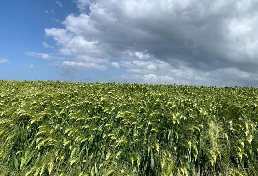 침실 1개 아파트, Waddenhoes Gastenverblijven
