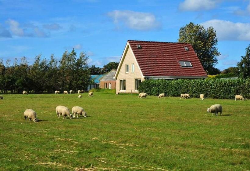 اتاق لوکس, Witte Weelde Texel