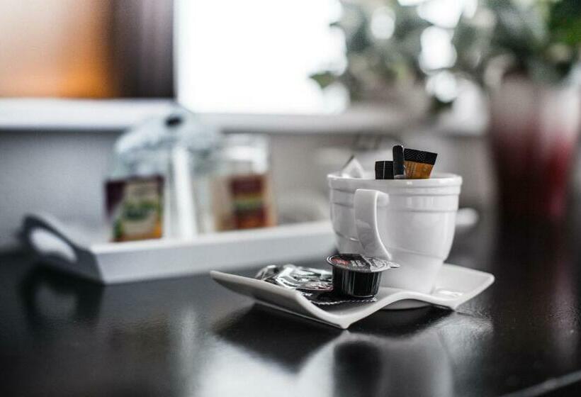 适合残疾人使用的标准间, De Elderschans