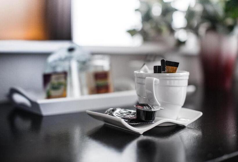 皇家套房, De Elderschans