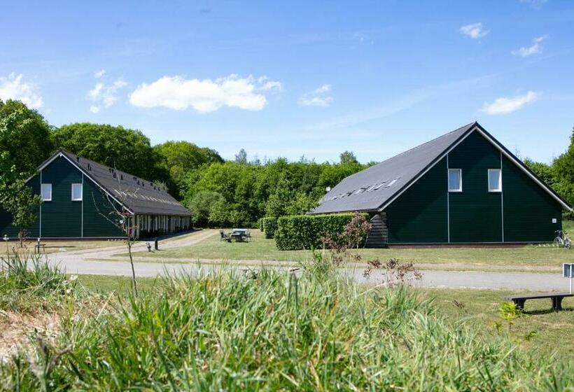 Номер Стандарт, Horsetellerie Rheezerveen