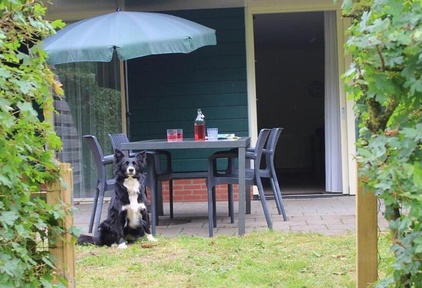 Дом 3 Спальни, Horsetellerie Rheezerveen