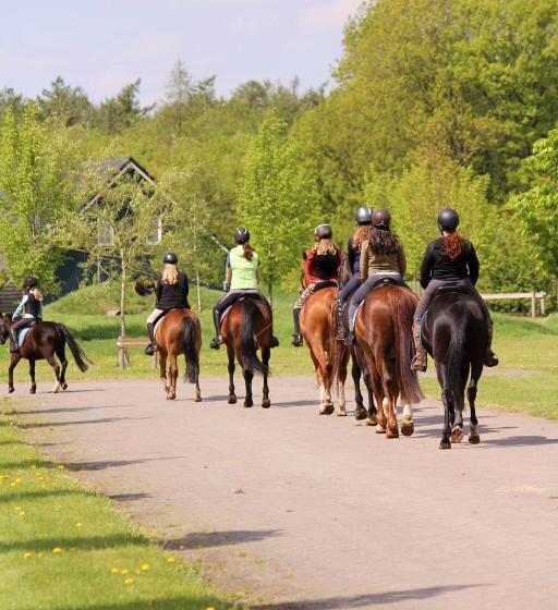 Дом 3 Спальни, Horsetellerie Rheezerveen