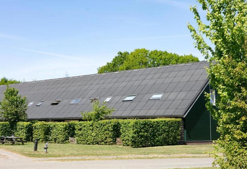 Дом 4 Спальни, Horsetellerie Rheezerveen