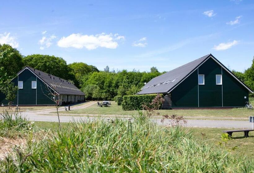 Дом 4 Спальни, Horsetellerie Rheezerveen