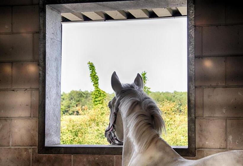 Дом 3 Спальни, Horsetellerie Rheezerveen