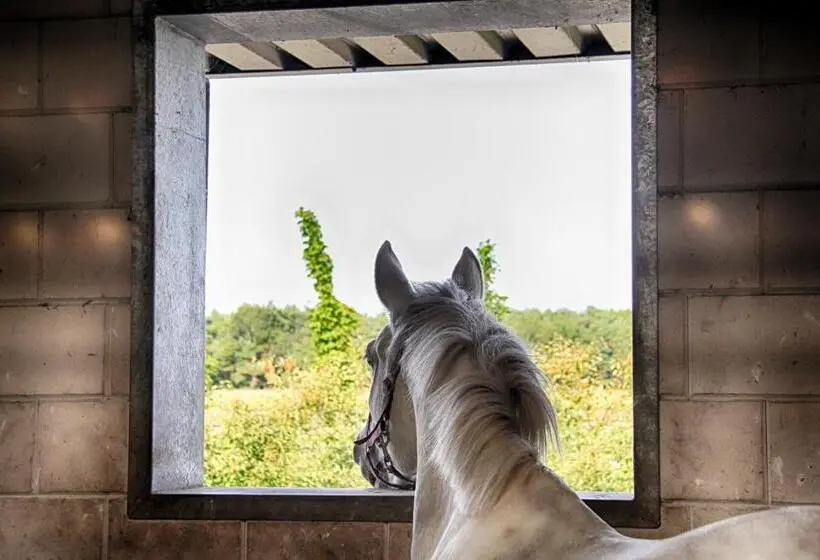 3ベッドルームハウス, Horsetellerie Rheezerveen
