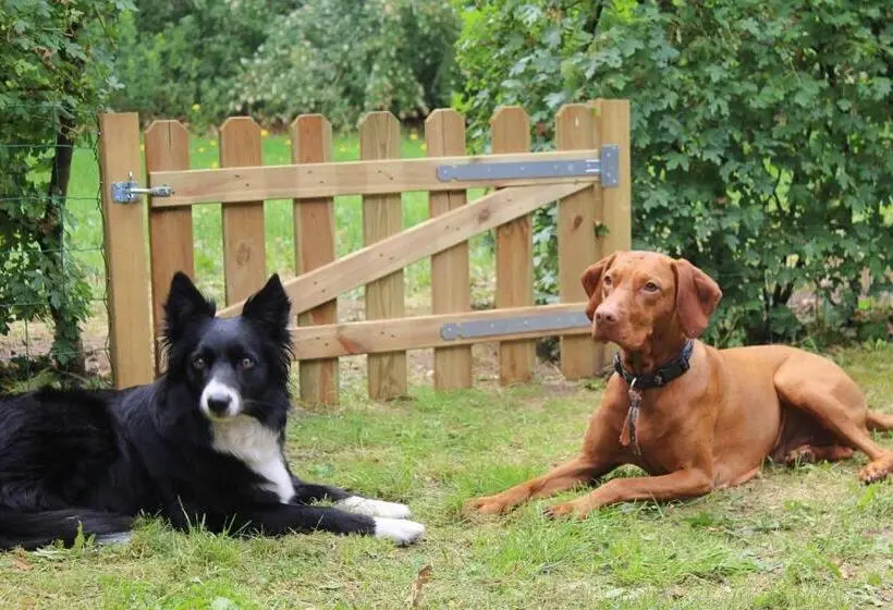 3ベッドルームハウス, Horsetellerie Rheezerveen