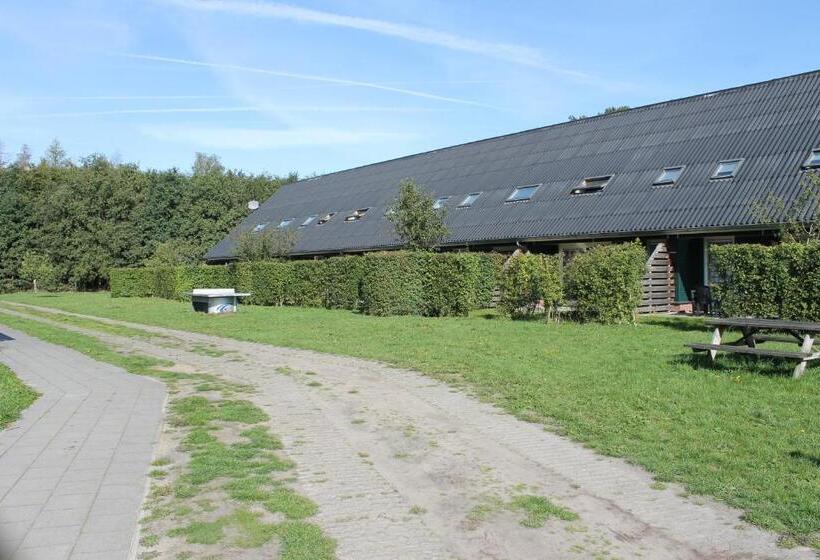 Дом 4 Спальни, Horsetellerie Rheezerveen