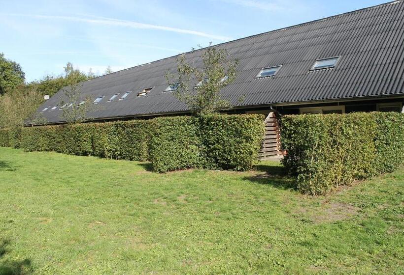 Дом 4 Спальни, Horsetellerie Rheezerveen