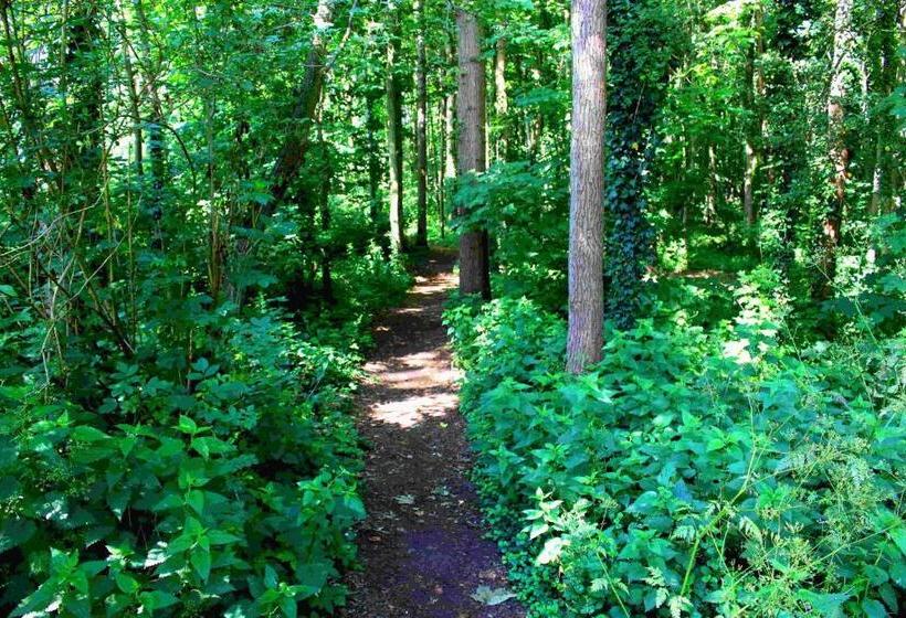 수피리어 룸, Zoomers Aan Het Bos