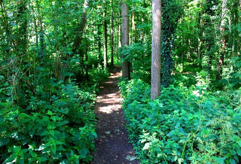 Номер Superior, Zoomers Aan Het Bos